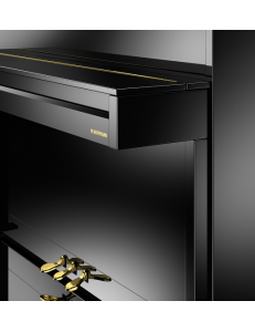 Hoffmann Vision 112 laqué noir
