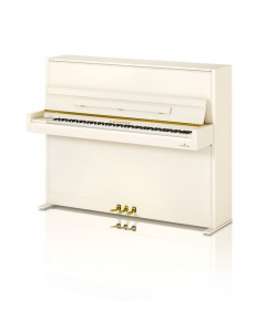 C.Bechstein Academy A4