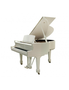 Hoffmann HW-T177
