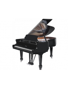 Hoffmann HW-P162  noir laqué