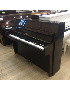 Schimmel 112 