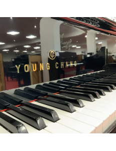 Young Chang 157