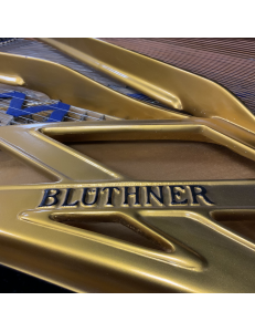 Blüthner model 4