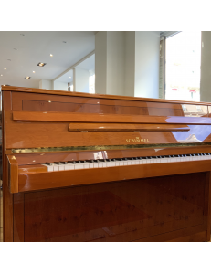 Schimmel 100