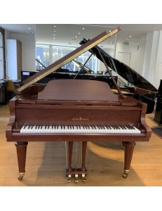 Schimmel 174 T