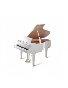 KAWAI GX-2