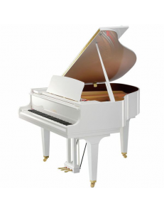 KAWAI GL-10