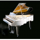 KAWAI CR 40 transparent