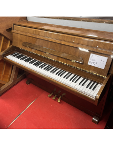 Schimmel 102