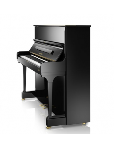  C. Bechstein Concert 6