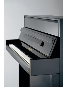 C. Bechstein R2 Millenium