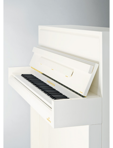 C. Bechstein R2 Millenium