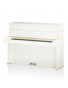 C. Bechstein R2 Millenium