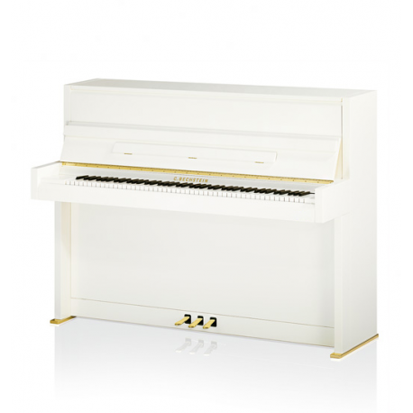 C. Bechstein R2 Millenium