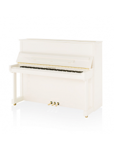 C. Bechstein R6 Classic