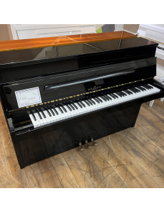 Schimmel 105