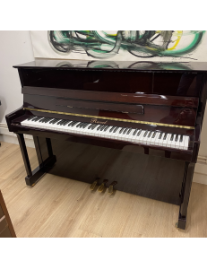 Ravel 110 