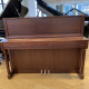 Schimmel 118