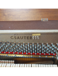 Sauter 118