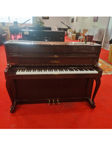 Schimmel 112