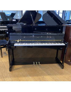 schimmel 116