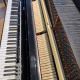 schimmel 116
