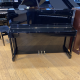 schimmel 116