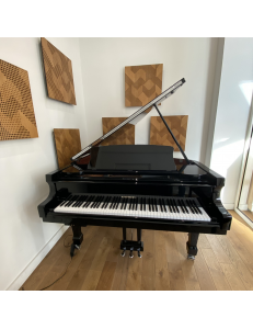 Hoffmann HW-P162  noir laqué