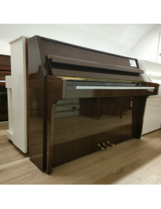 Schimmel 109