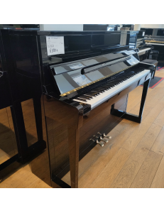 Schimmel 114