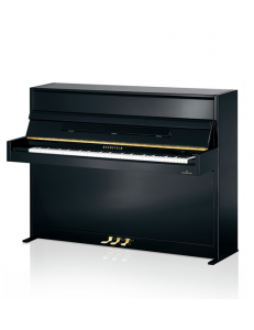 C.Bechstein A2