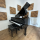 Bechstein A190