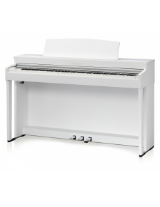 Kawai CN301