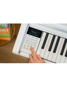 KAWAI CA501