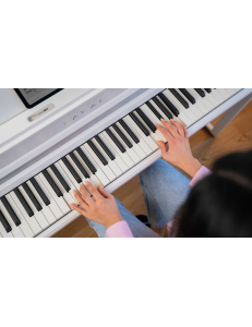 KAWAI CA501