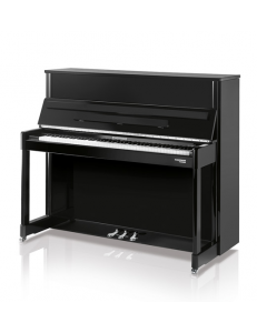 Hoffmann Professional 120 laqué noir