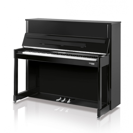 Hoffmann Professional 120 laqué noir