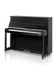 Hoffmann Professional 114 laqué noir