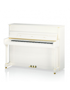 C. Bechstein R4 Contur Vario Duet