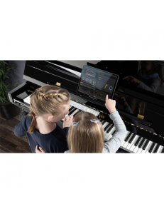 C.Bechstein Academy A4