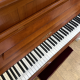 Pleyel P 118