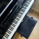 Yamaha U1M