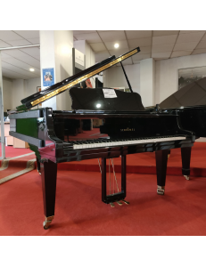 Schimmel queue 206
