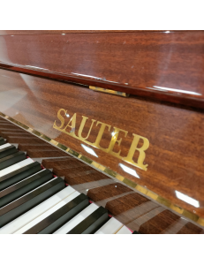 SAUTER 108