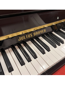 Julius Drayer