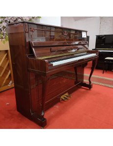 Hohner HP 120