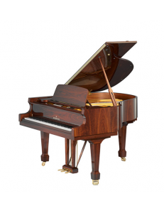 Bechstein A160