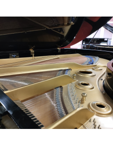 Kawai KG5