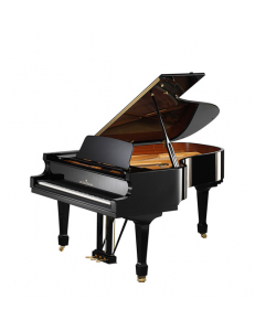 C.Bechstein A208