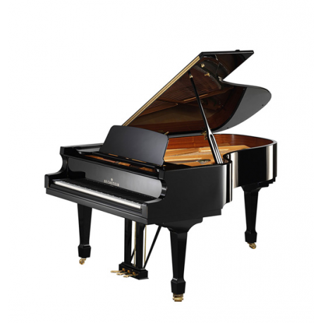 C.Bechstein A208